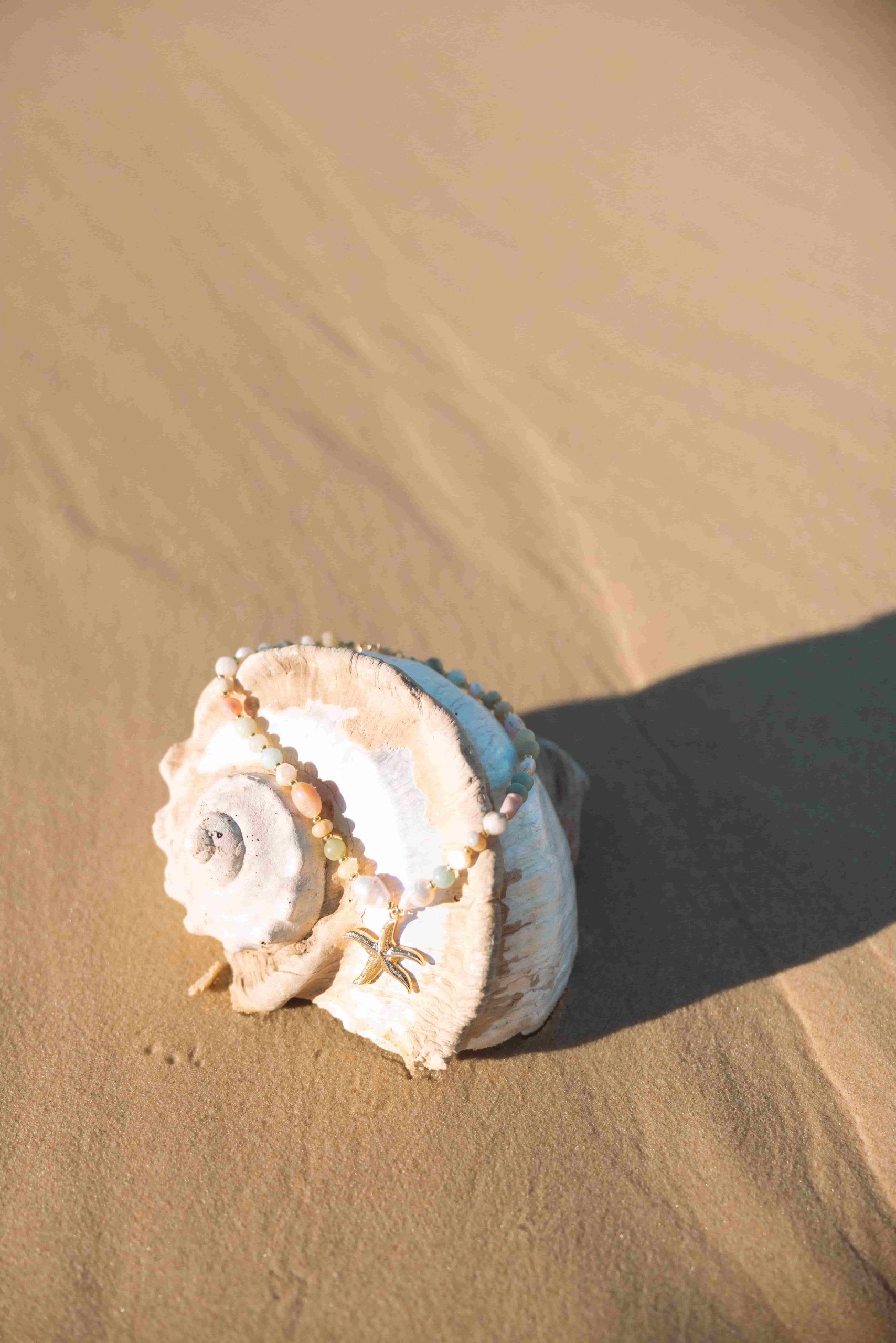 Necklace resting in a shell on the sand
